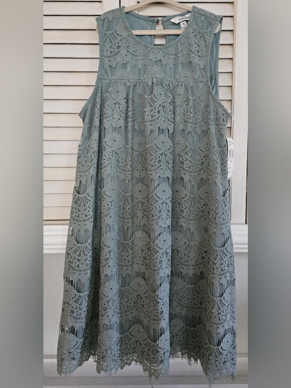Speechless Sage Green Lace Midi Dress